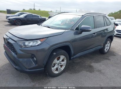 Lot #2995284398 2020 TOYOTA RAV4 XLE