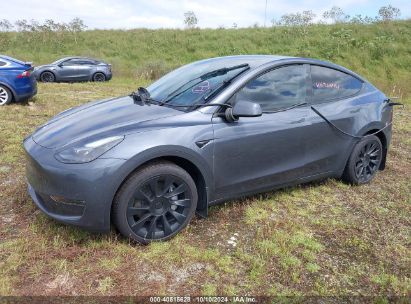 Lot #2995284394 2024 TESLA MODEL Y LONG RANGE DUAL MOTOR ALL-WHEEL DRIVE