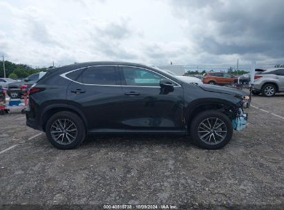 Lot #2996534154 2024 LEXUS NX 250