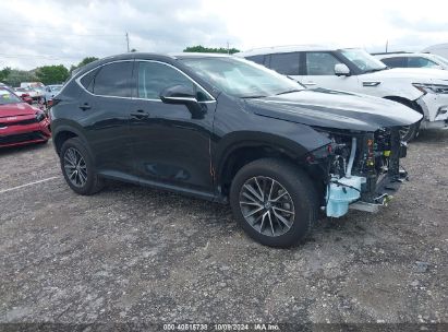 Lot #2996534154 2024 LEXUS NX 250