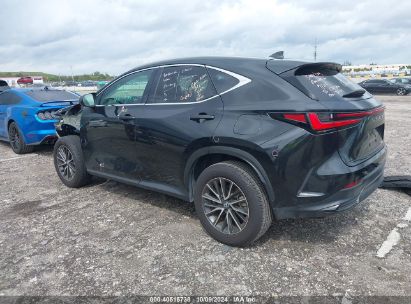 Lot #2996534154 2024 LEXUS NX 250