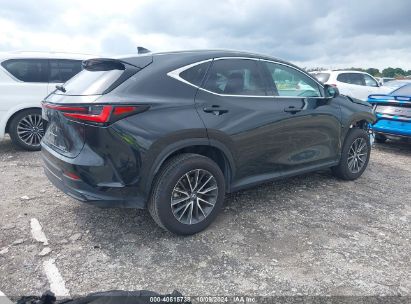 Lot #2996534154 2024 LEXUS NX 250