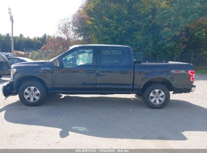 Lot #2989127310 2019 FORD F-150 XLT