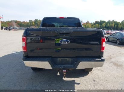 Lot #2989127310 2019 FORD F-150 XLT