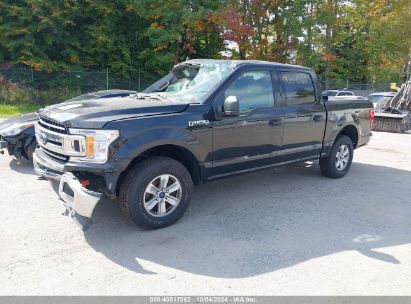 Lot #2989127310 2019 FORD F-150 XLT