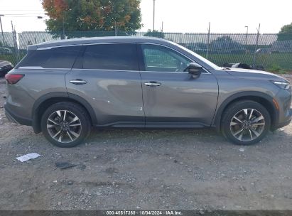 Lot #2992817912 2022 INFINITI QX60 LUXE AWD