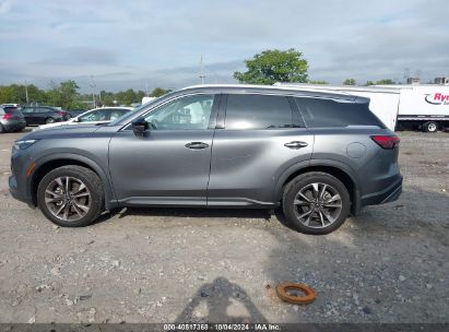 Lot #2992817912 2022 INFINITI QX60 LUXE AWD