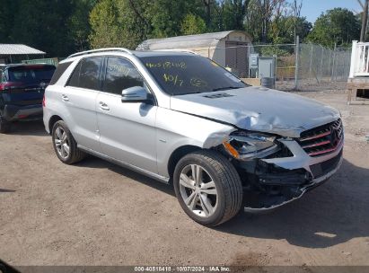 Lot #3037549273 2012 MERCEDES-BENZ ML 350 4MATIC