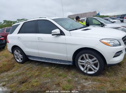 Lot #2991586682 2014 MERCEDES-BENZ ML 350