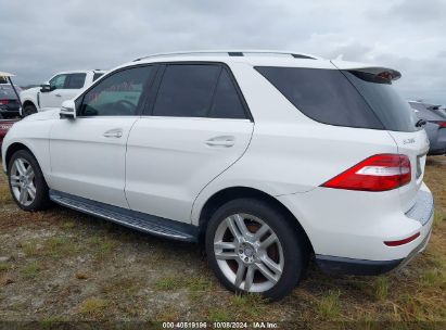 Lot #2991586682 2014 MERCEDES-BENZ ML 350