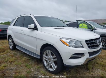 Lot #2991586682 2014 MERCEDES-BENZ ML 350