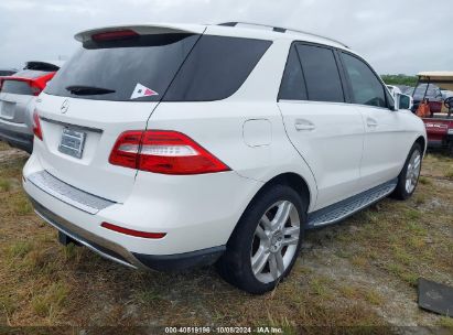 Lot #2991586682 2014 MERCEDES-BENZ ML 350