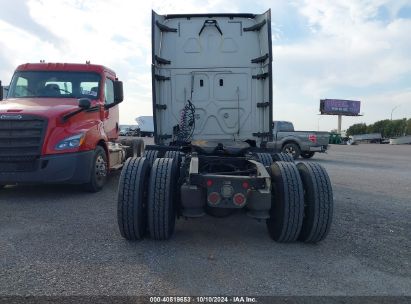 Lot #2992830391 2019 FREIGHTLINER NEW CASCADIA 126