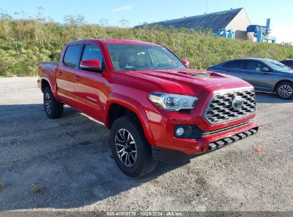 Lot #2995284291 2021 TOYOTA TACOMA TRD SPORT