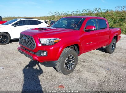 Lot #2995284291 2021 TOYOTA TACOMA TRD SPORT