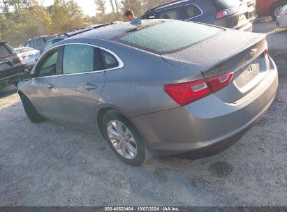 Lot #3047438570 2023 CHEVROLET MALIBU FWD 1LT