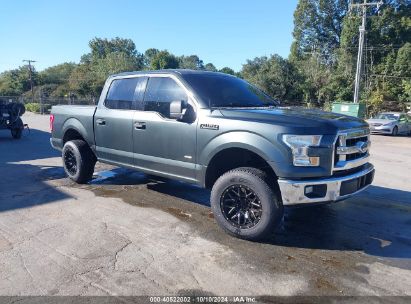 Lot #2996534092 2015 FORD F-150 XLT