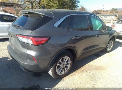 Lot #2995300831 2022 FORD ESCAPE SE