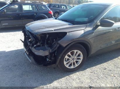 Lot #2995300831 2022 FORD ESCAPE SE