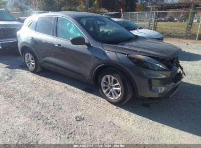 Lot #2995300831 2022 FORD ESCAPE SE