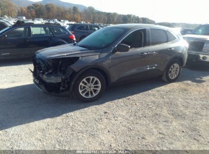 Lot #2995300831 2022 FORD ESCAPE SE