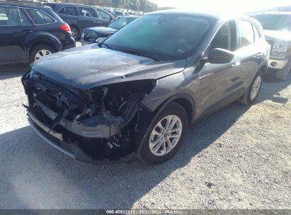 Lot #2995300831 2022 FORD ESCAPE SE