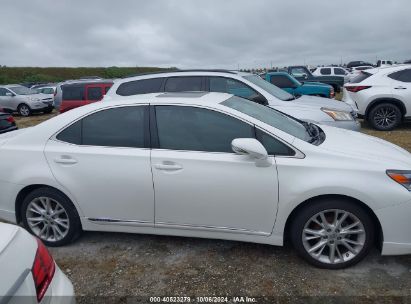 Lot #2992825573 2010 LEXUS HS 250H PREMIUM