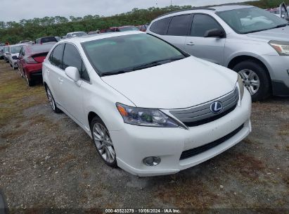 Lot #2992825573 2010 LEXUS HS 250H PREMIUM