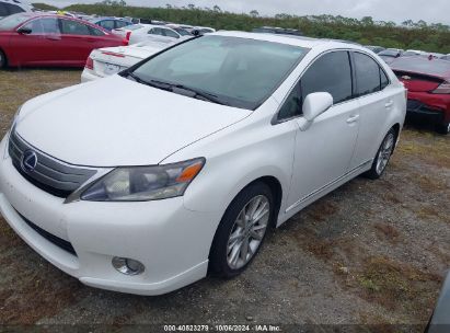 Lot #2992825573 2010 LEXUS HS 250H PREMIUM