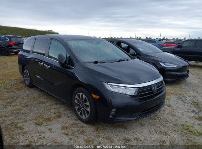 Lot #2992825561 2022 HONDA ODYSSEY EX-L