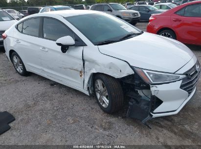 Lot #2996534071 2019 HYUNDAI ELANTRA SEL