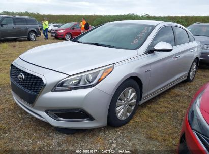 Lot #2992825742 2016 HYUNDAI SONATA HYBRID SE