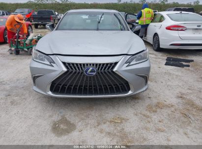 Lot #2992825728 2022 LEXUS ES 300H