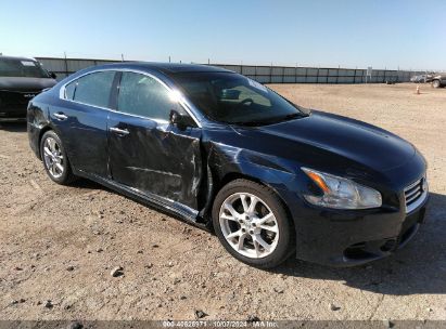 Lot #2992830113 2012 NISSAN MAXIMA 3.5 SV