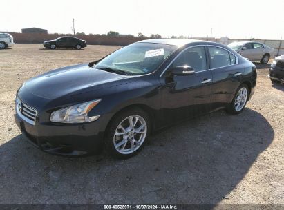 Lot #2992830113 2012 NISSAN MAXIMA 3.5 SV