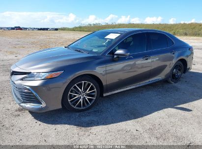 Lot #2992825489 2023 TOYOTA CAMRY XLE V6