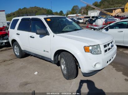 Lot #3035076874 2011 FORD ESCAPE HYBRID