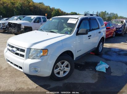 Lot #3035076874 2011 FORD ESCAPE HYBRID