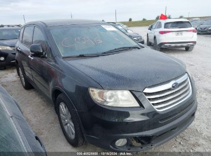 Lot #2992825681 2013 SUBARU TRIBECA 3.6R LIMITED