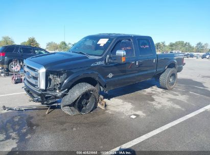 Lot #3007843725 2015 FORD F-250 LARIAT