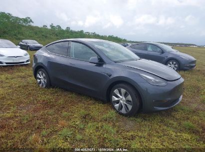 Lot #2995283872 2023 TESLA MODEL Y RWD