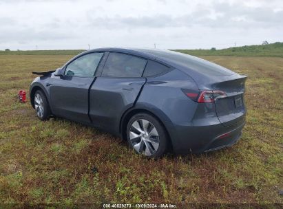 Lot #2995283872 2023 TESLA MODEL Y RWD