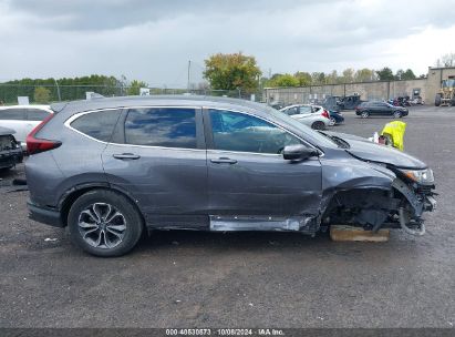 Lot #2996534014 2020 HONDA CR-V AWD EX