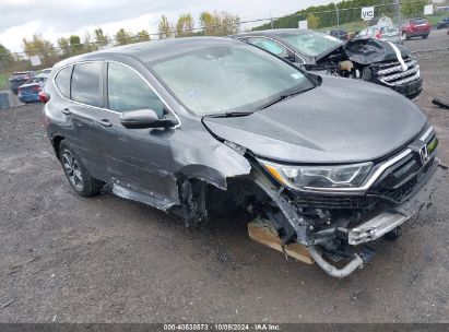 Lot #2996534014 2020 HONDA CR-V AWD EX