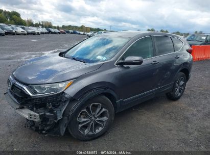 Lot #2996534014 2020 HONDA CR-V AWD EX