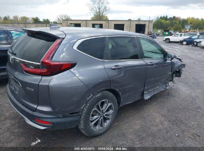 Lot #2996534014 2020 HONDA CR-V AWD EX