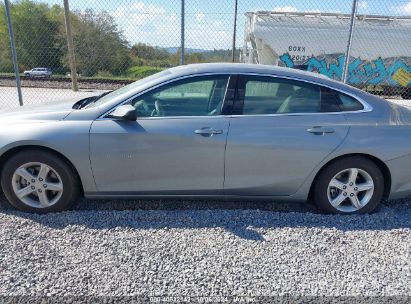 Lot #2992817843 2024 CHEVROLET MALIBU FWD LS