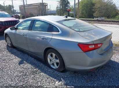 Lot #2992817843 2024 CHEVROLET MALIBU FWD LS