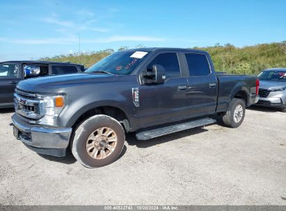 Lot #2995299794 2020 FORD F-250 XL