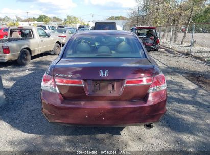 Lot #3034053751 2011 HONDA ACCORD 2.4 LX-P